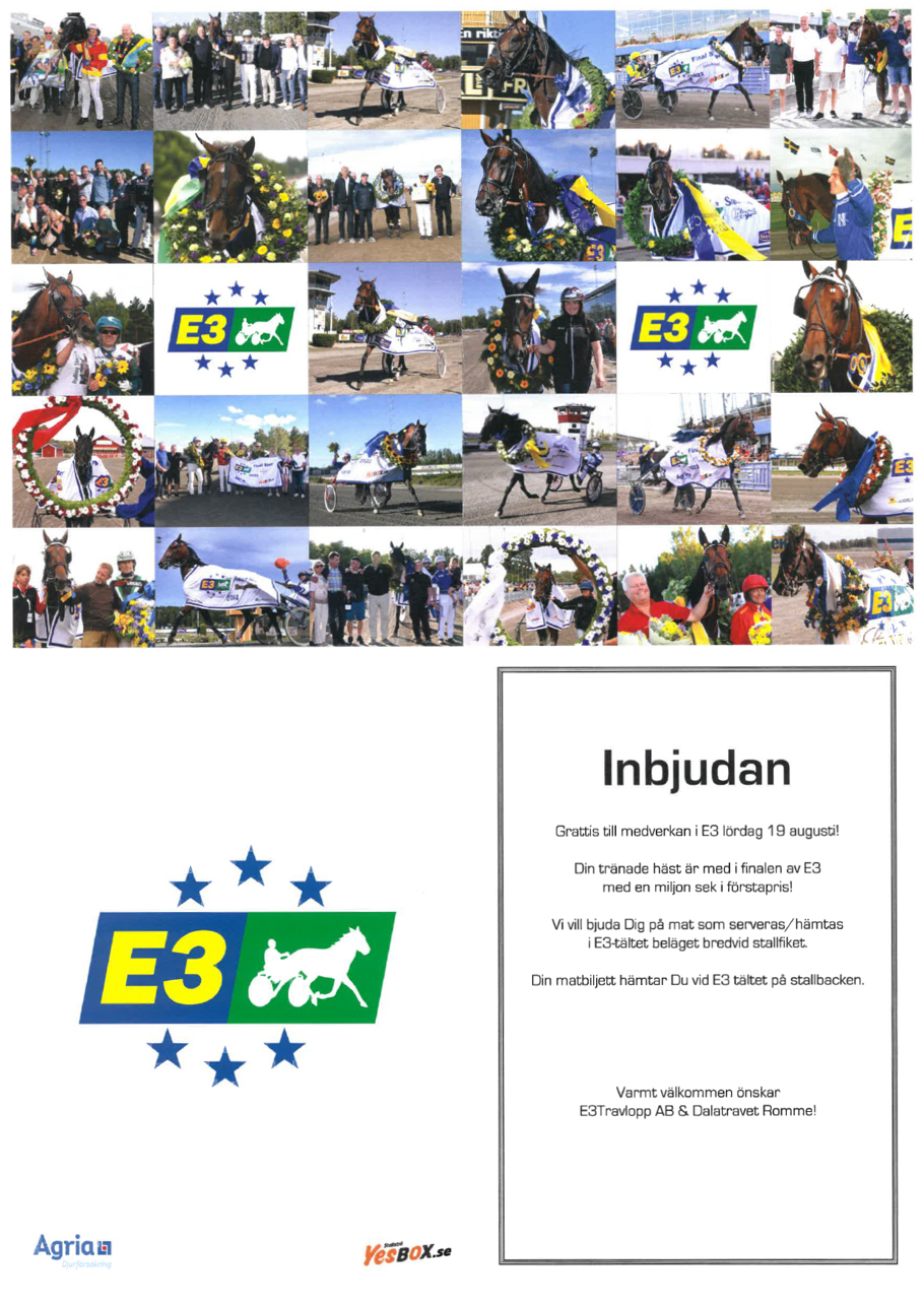 E3 tränare.jpg