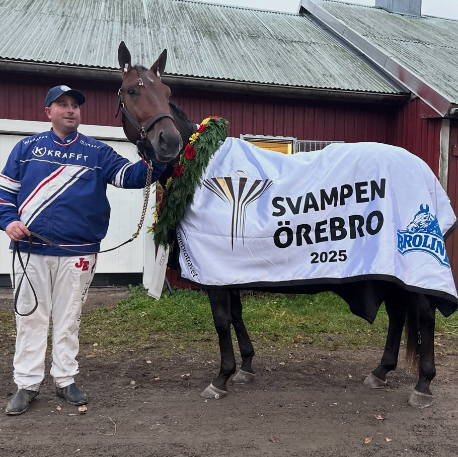 City Slicker och Elfving