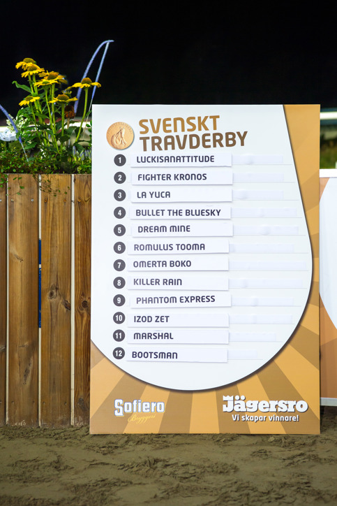 Spårlottning