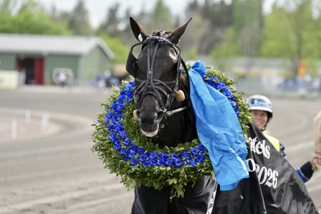 ditte gel