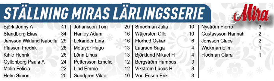 Ställning efter 6 avd