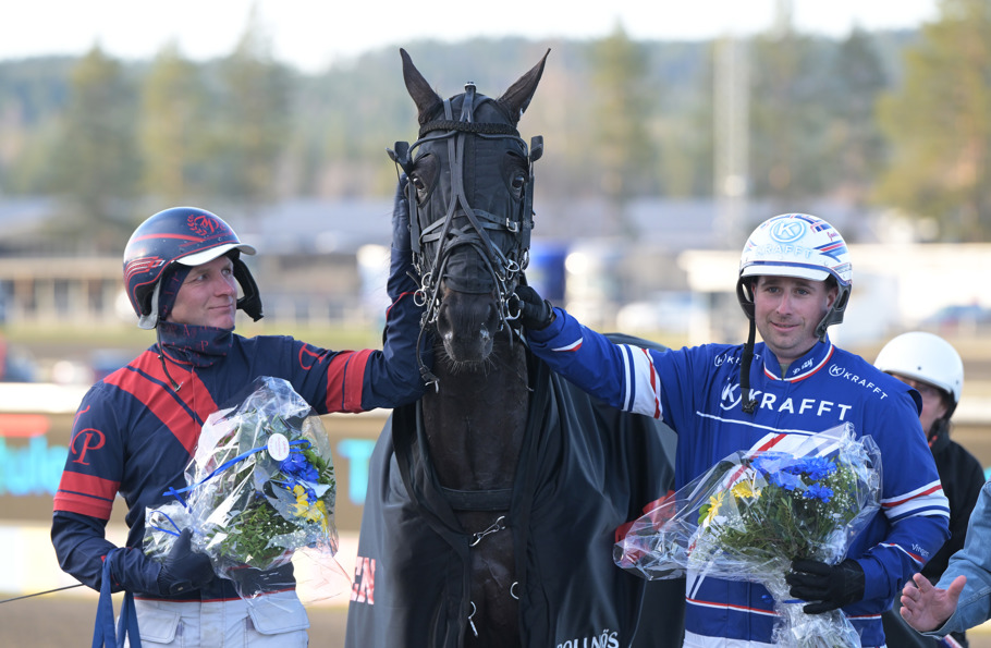 Elfving och Pettersson